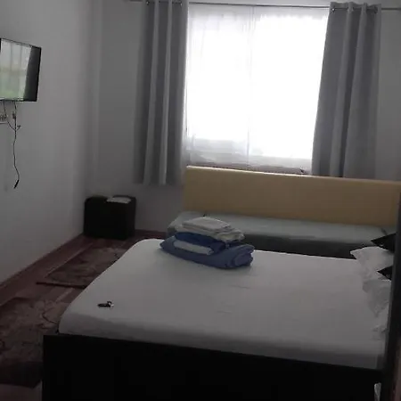 Casa Alex * 科斯蒂内什蒂