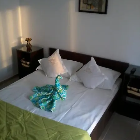 Casa Alex * Costinesti